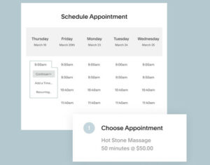 acuity scheduler interface