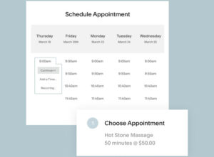 Calendly vs Acuity Scheduling Meeting