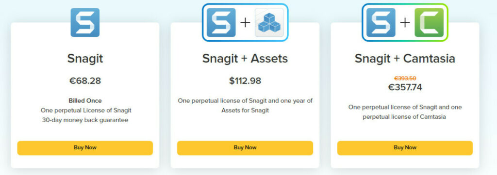 snagit pricing model