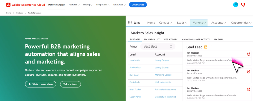 Marketo, B2B marketing automation software