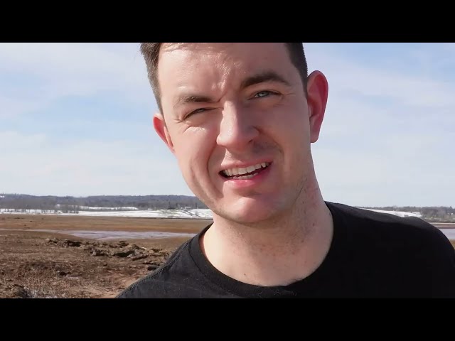 Sample cold email metrics dashboard showcasing open and reply rates